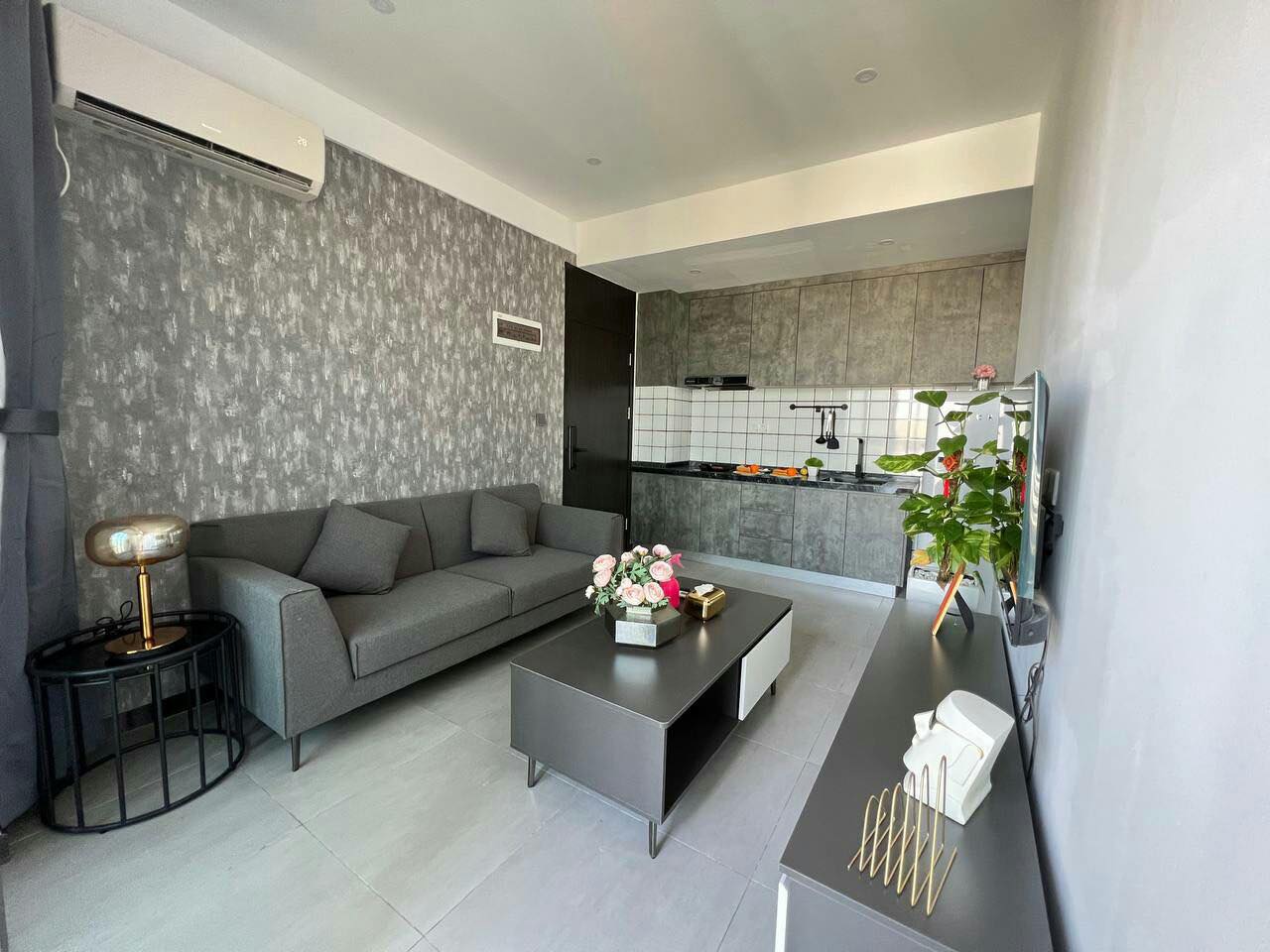 2 LUXERY ONE BEDROOM FOR RENT
