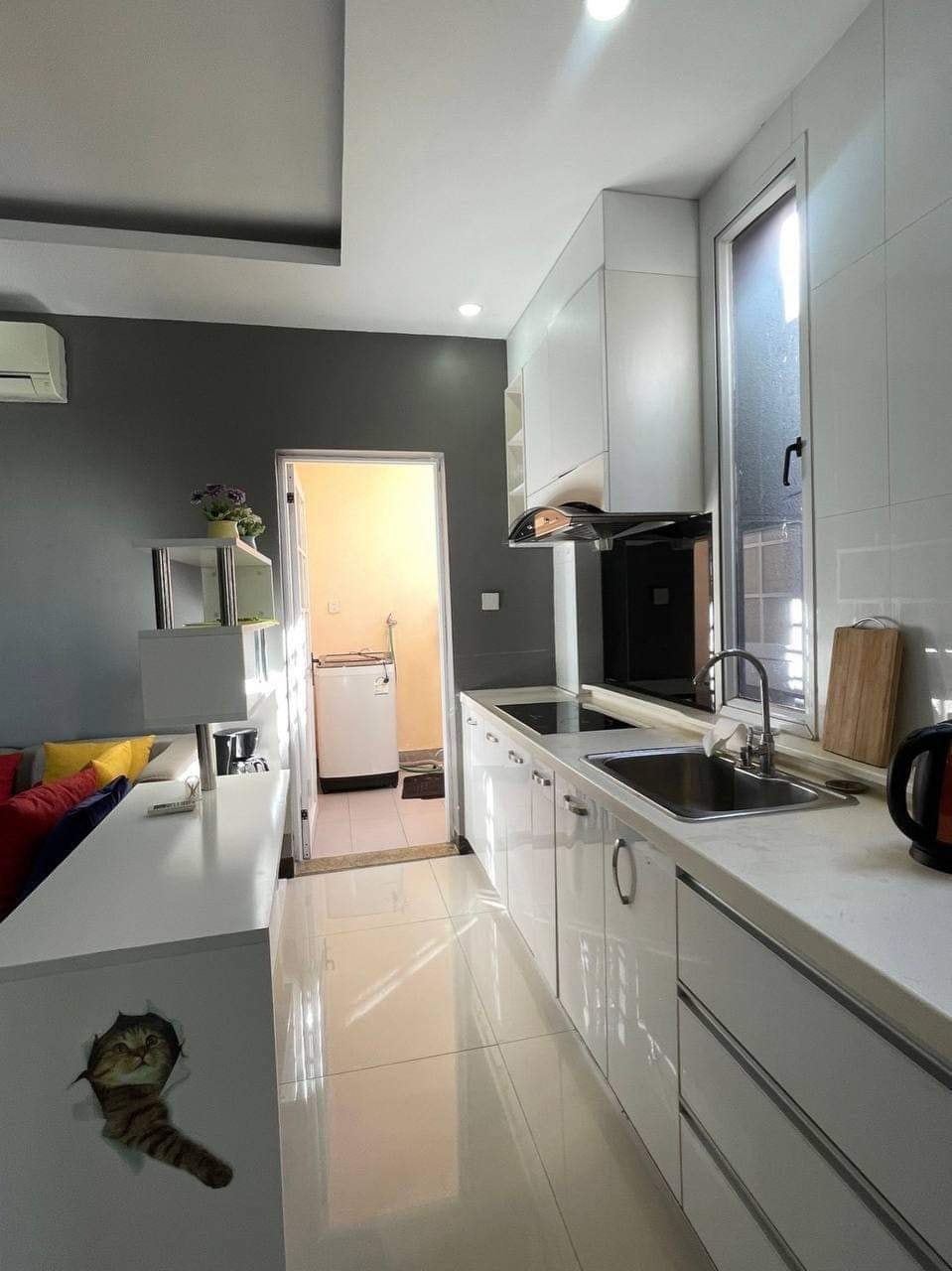 415865676_1984078565326211_2703673930308354469_n