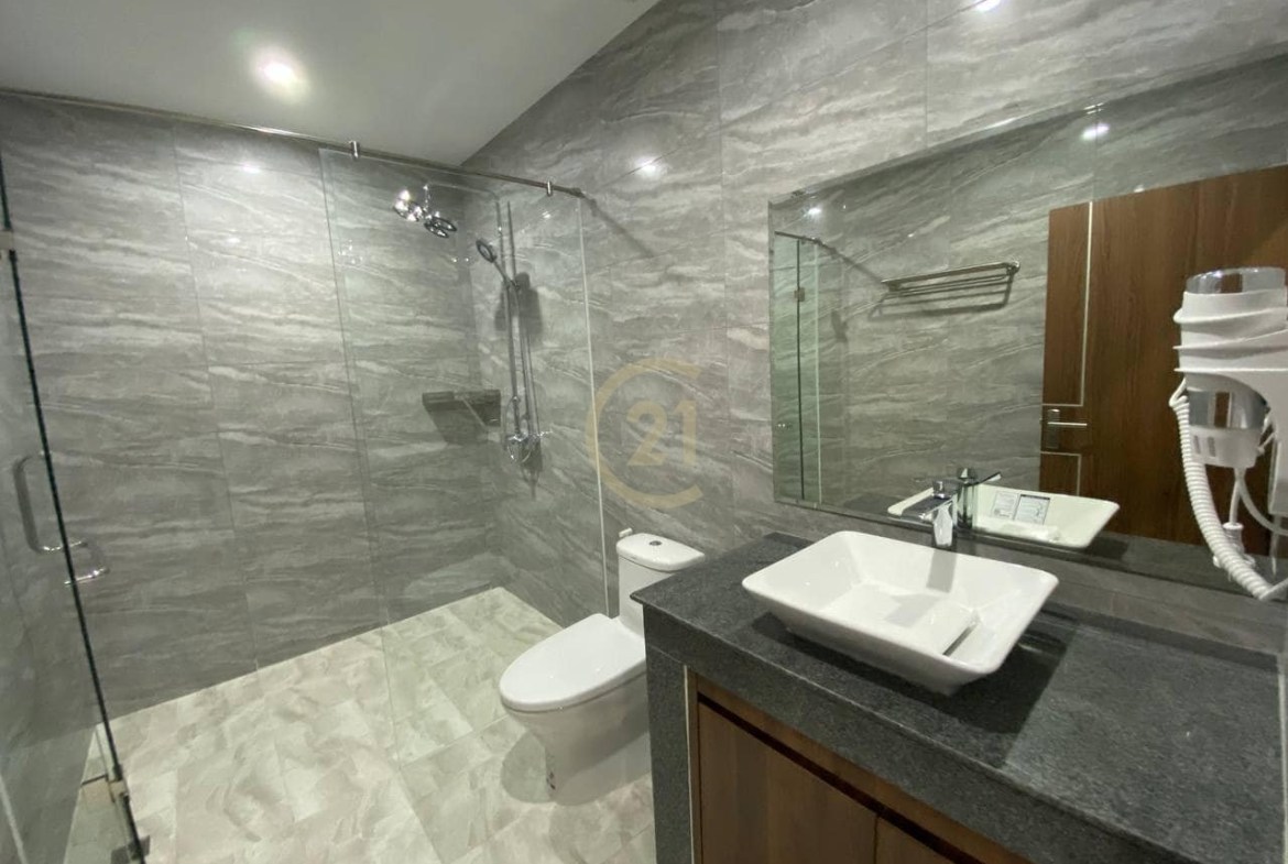 Brand new and Modern Apartment available for Rent