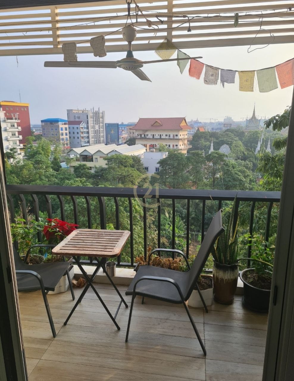 IMG_20240214_112542_075