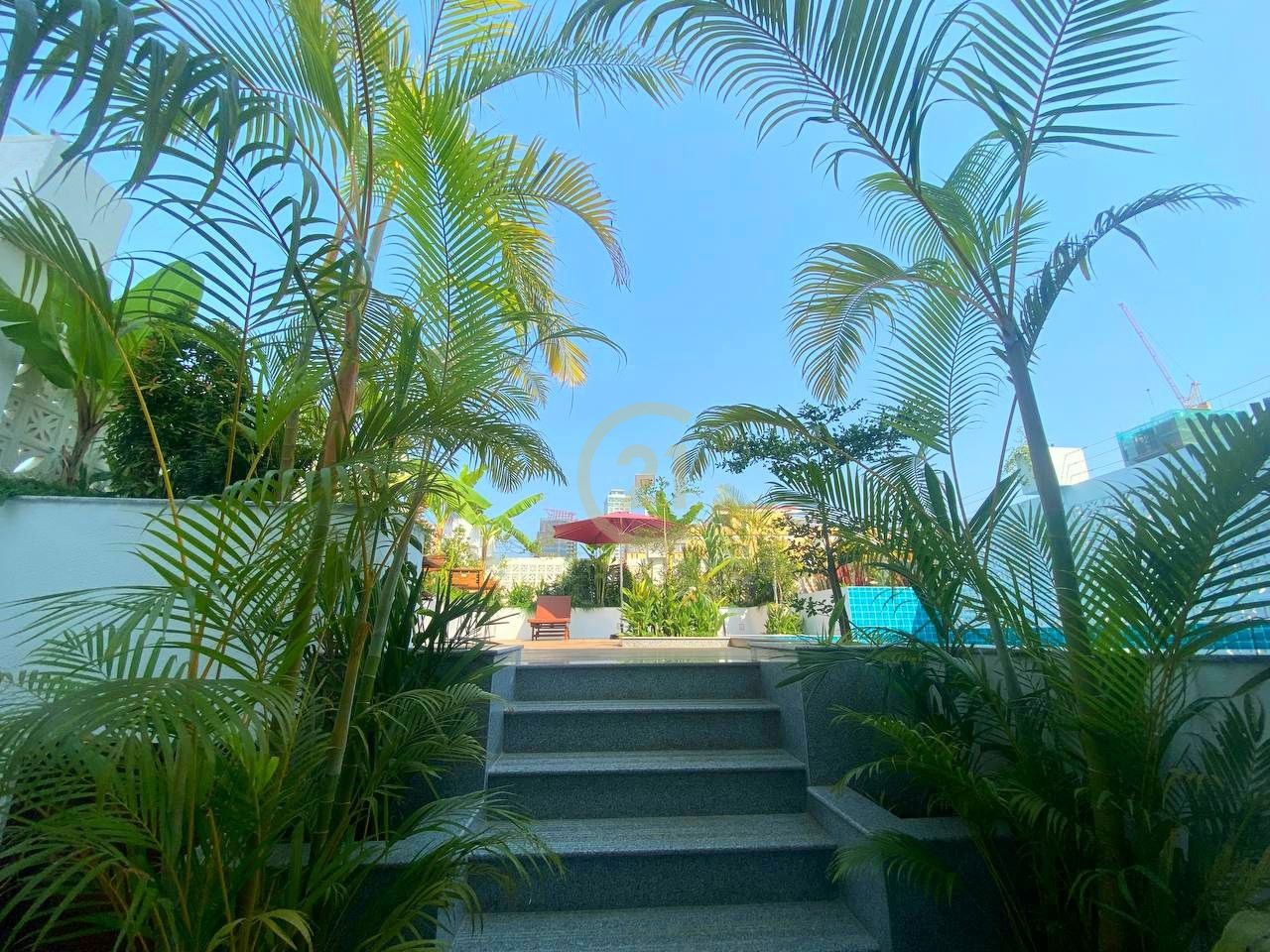 photo_21_2024-02-22_16-17-22