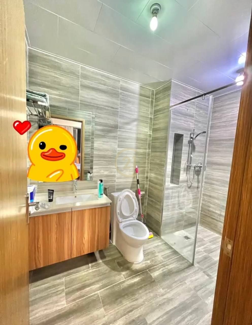 photo_4_2024-02-12_11-01-09