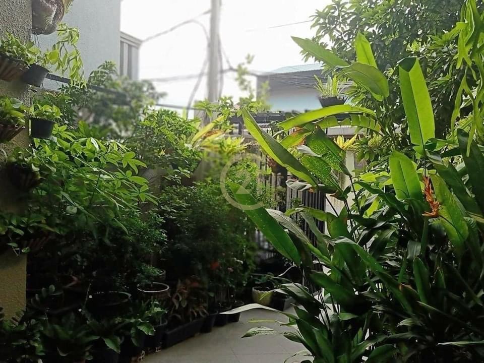 15352F10-040E-4BFA-A6BD-E5F99ABF09A0