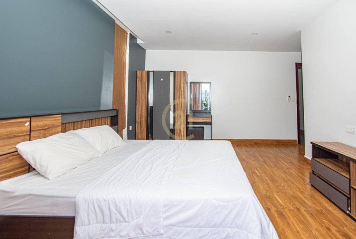 Two Bedroom Apartment For Rent Tonle Bassac Land