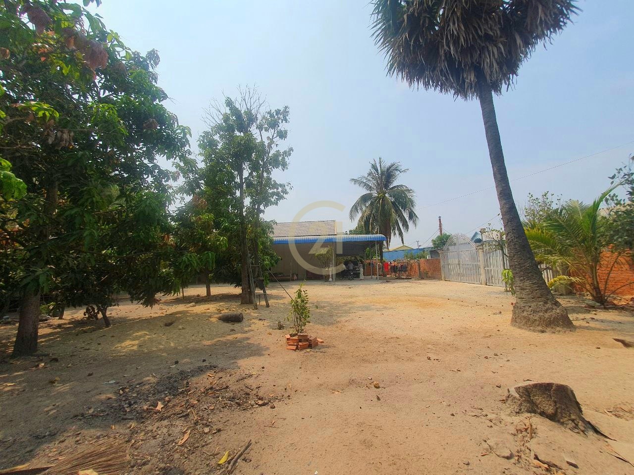 IMG_20240326_141319_188