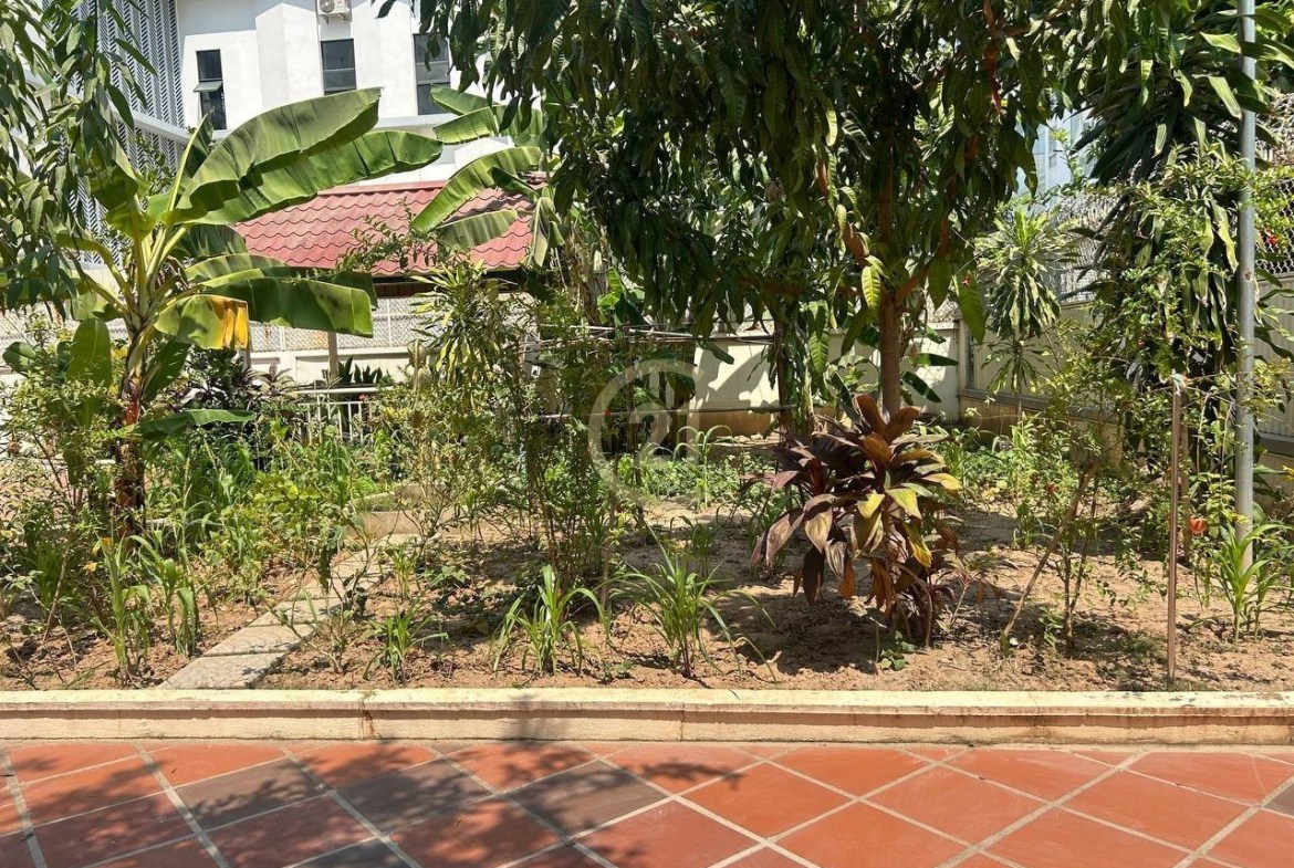 Nice House for rent at BKK1