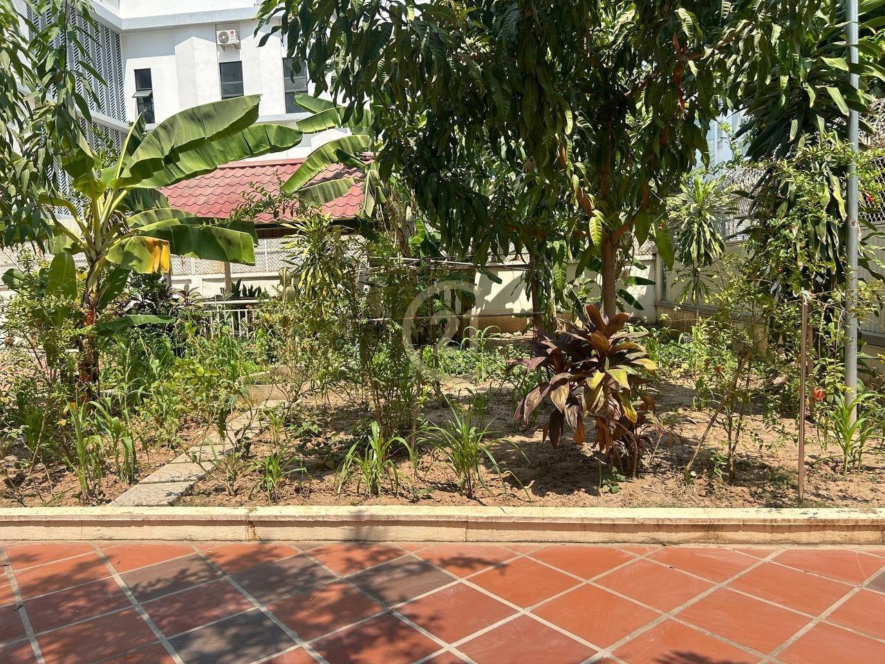 timeline_20240316_151705 Nice House for rent at BKK1