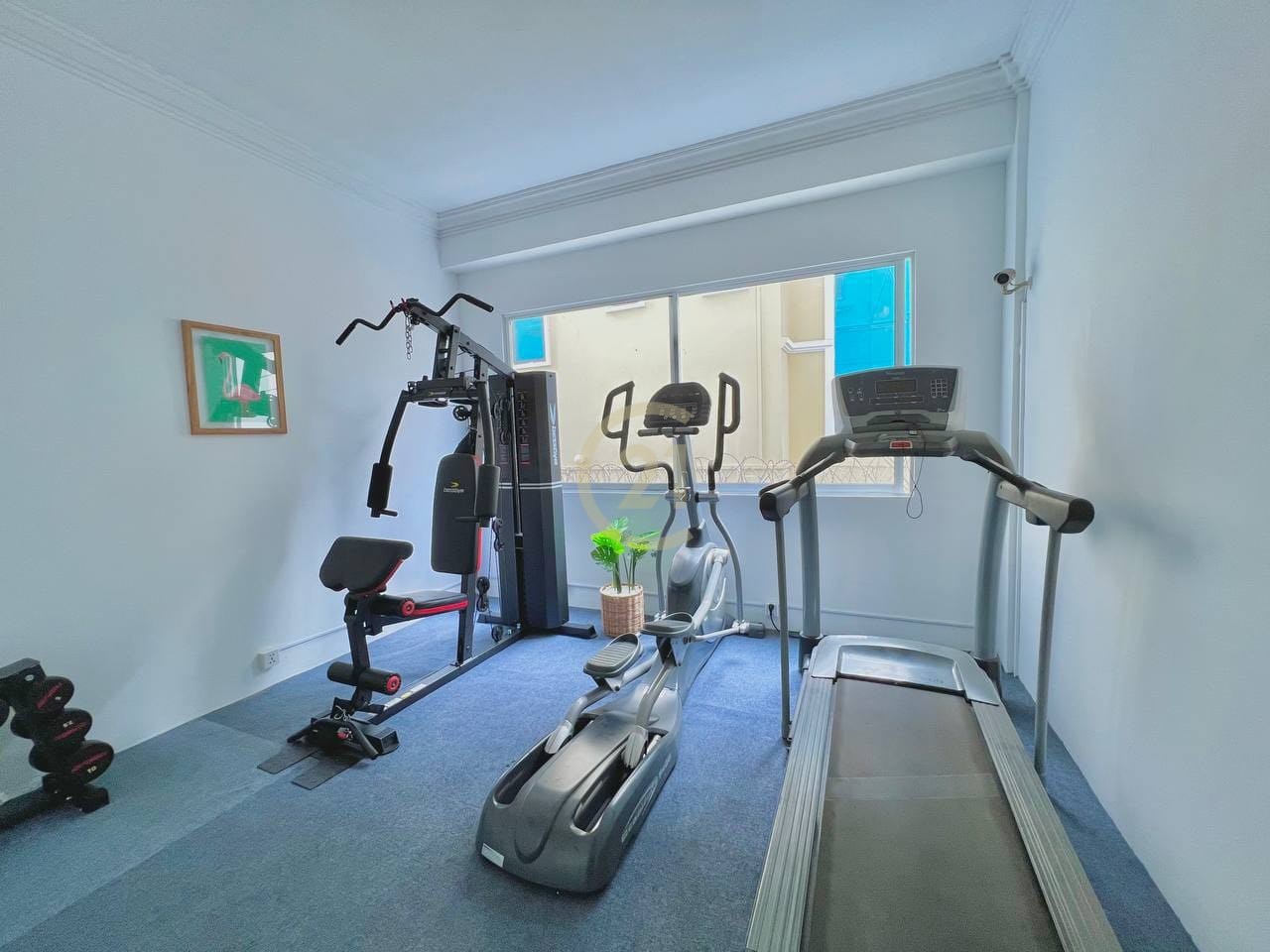 photo_2024-05-02_16-50-22