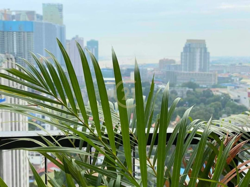 Brand new 02BR for rent at BKK1