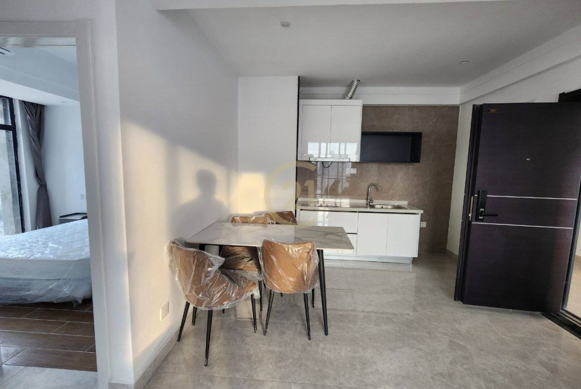 Brand new 02BR for rent at Tonle Bassac
