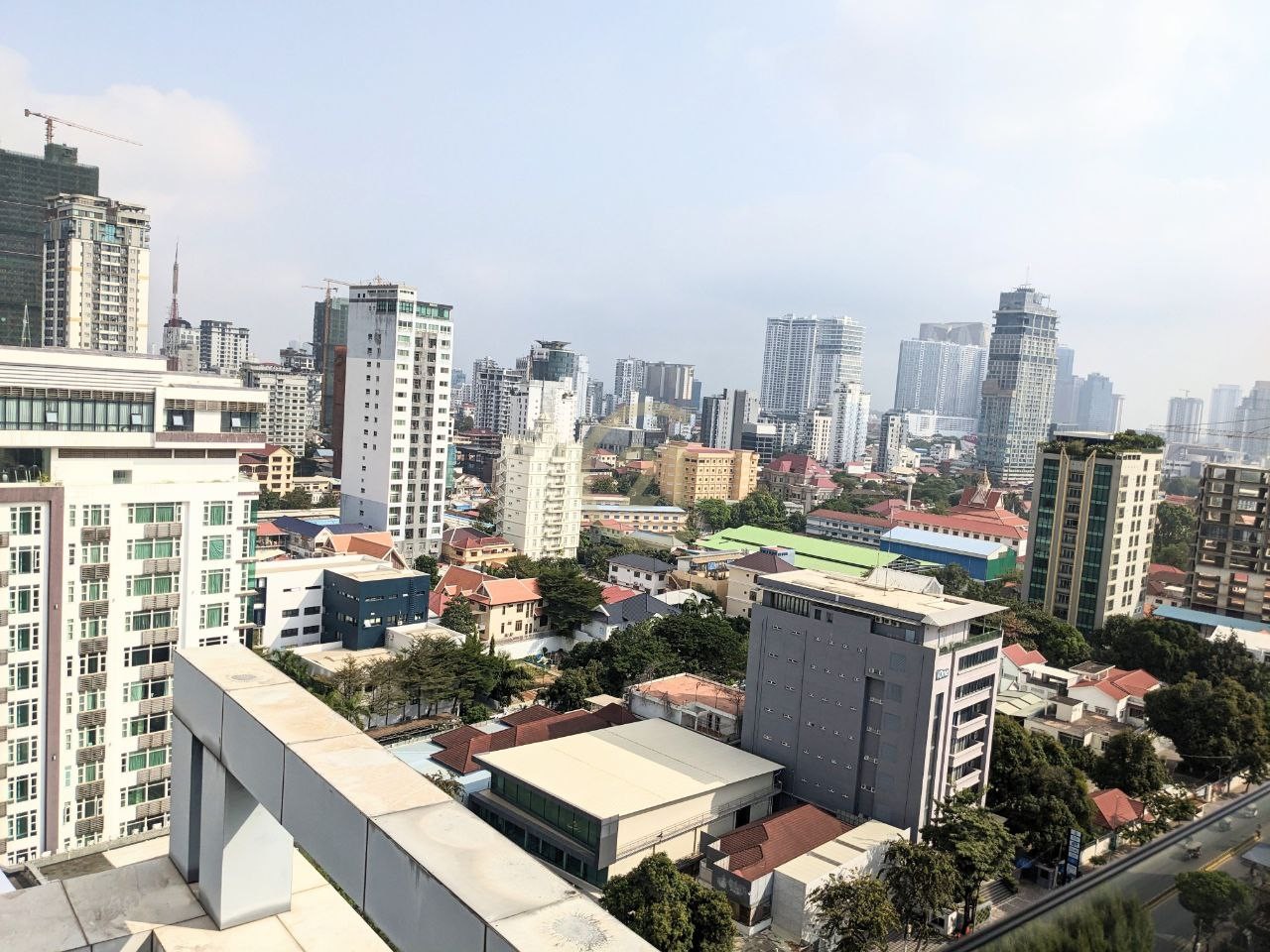 photo_19_2024-06-29_14-26-08