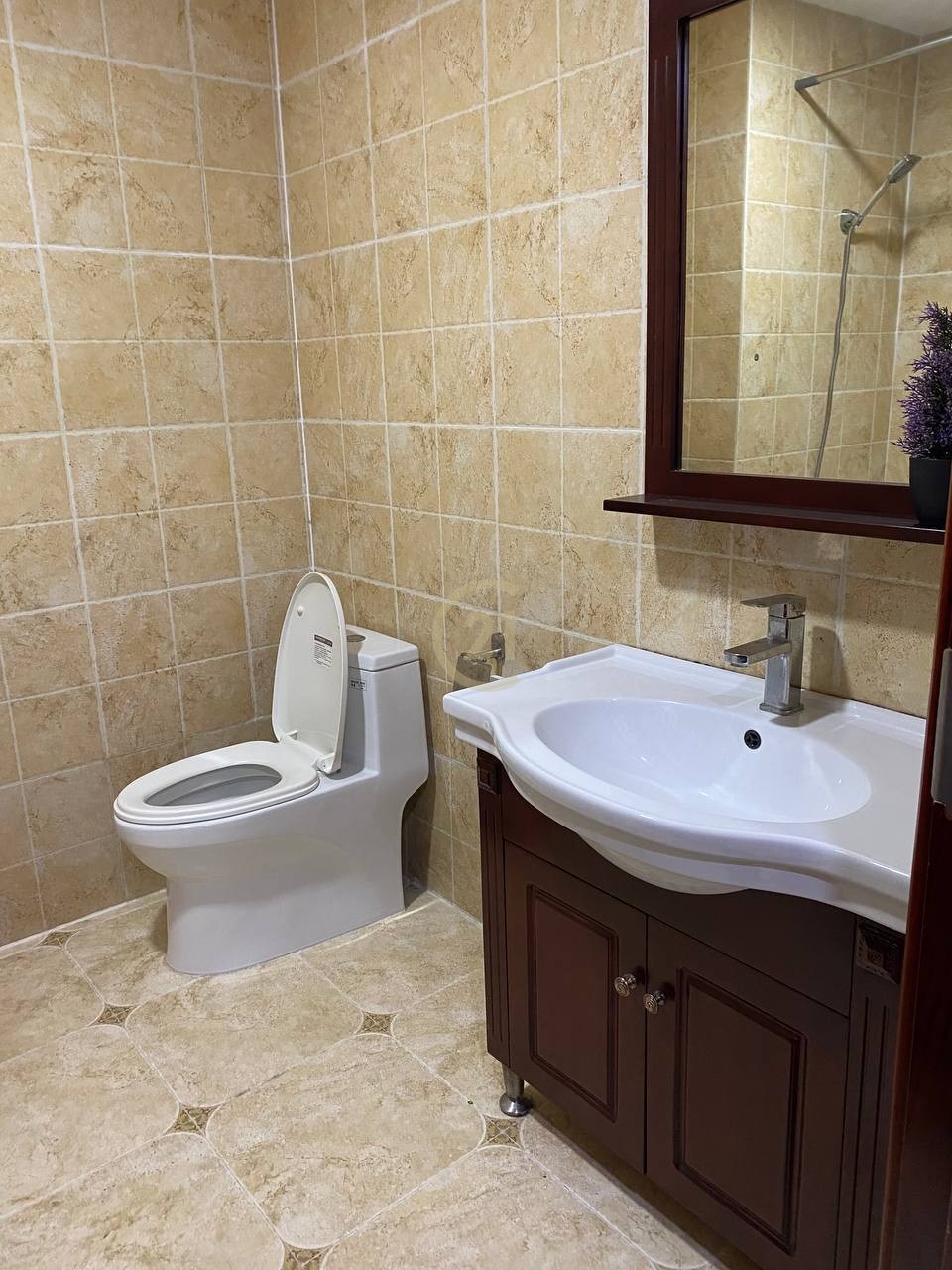 Studio Room For Rent at Olympia Condo
