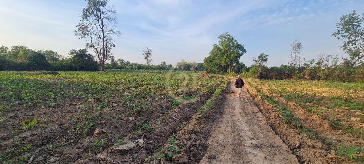 Hot offer land for SALE at Siem Reap