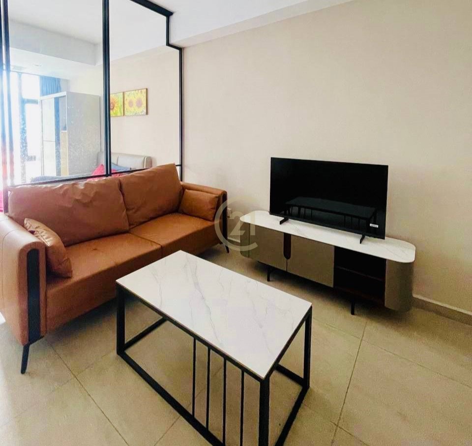 Brand new one bedroom for rent at TK