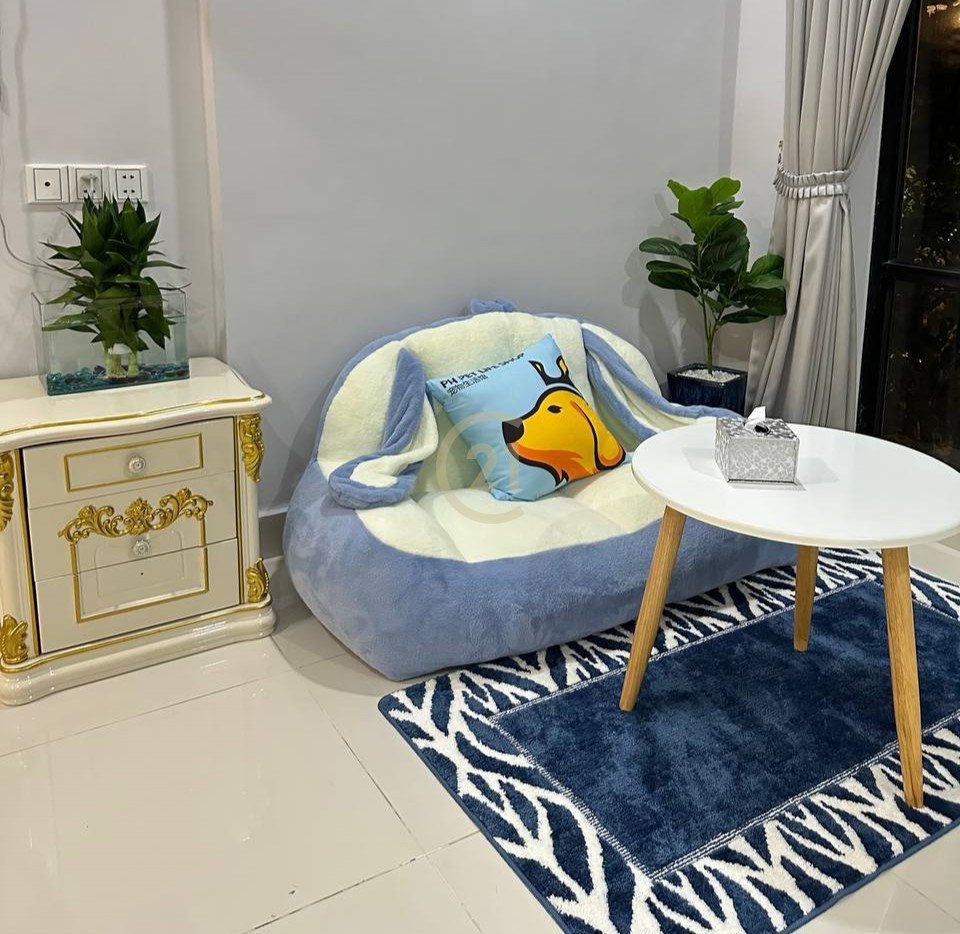 photo_9_2024-10-24_13-25-35