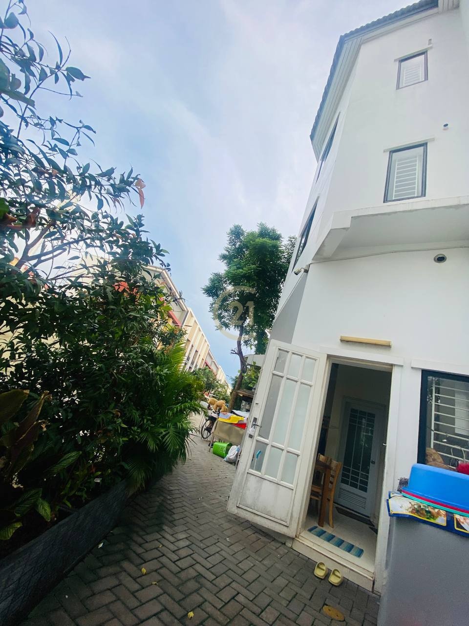 photo_1_2024-11-22_10-52-13