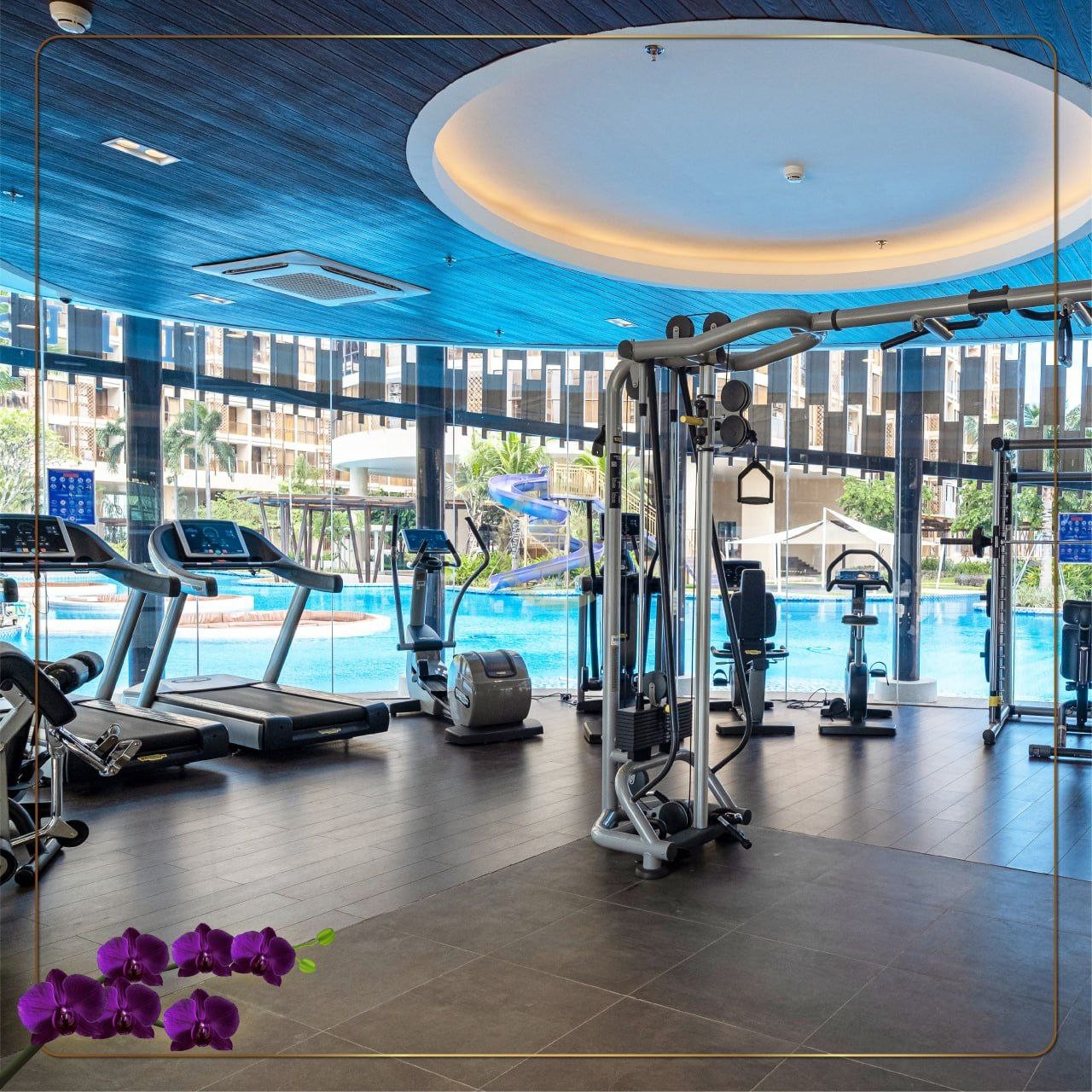 photo_2024-11-28_14-51-45