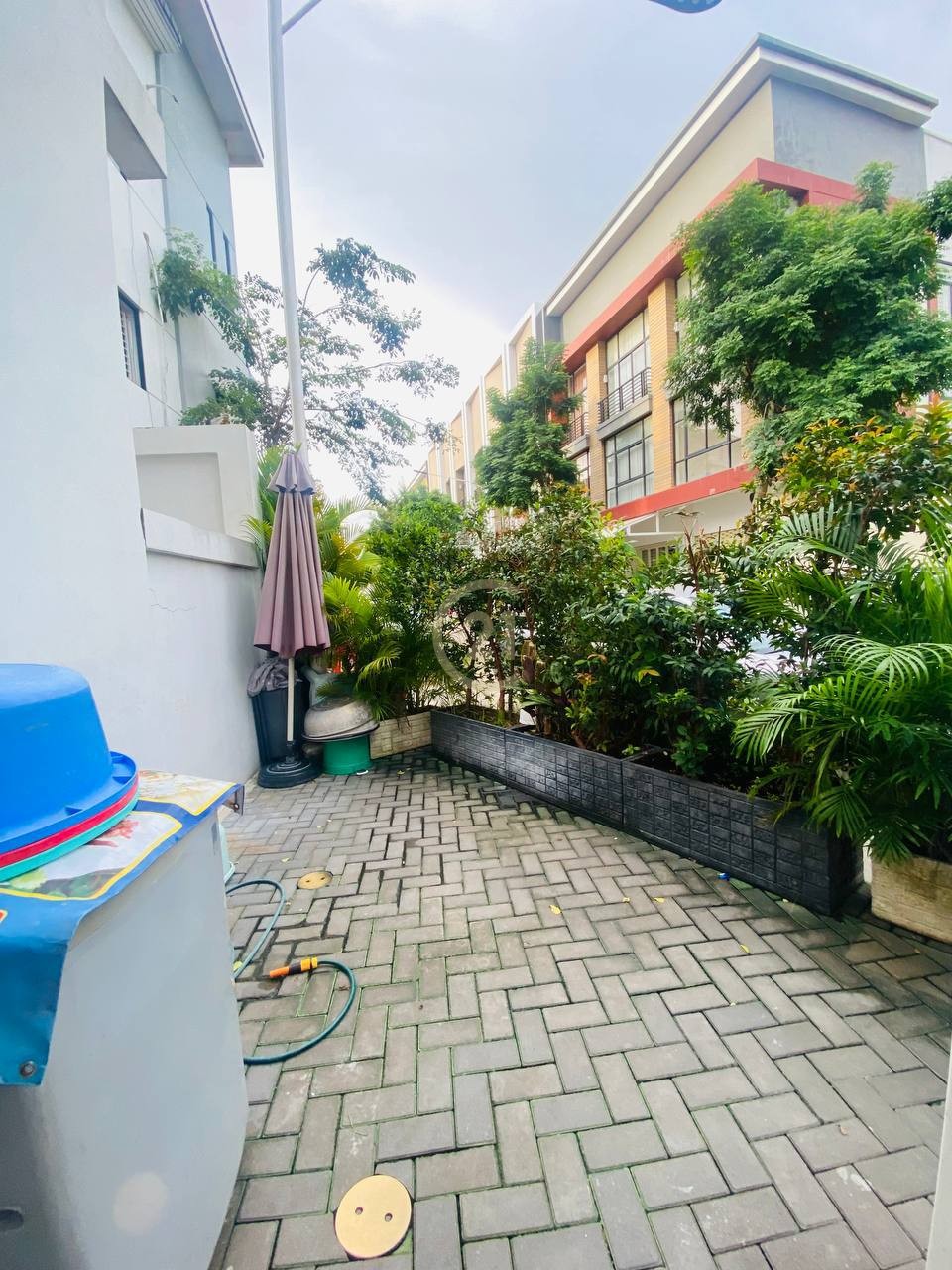 photo_3_2024-11-22_10-52-13