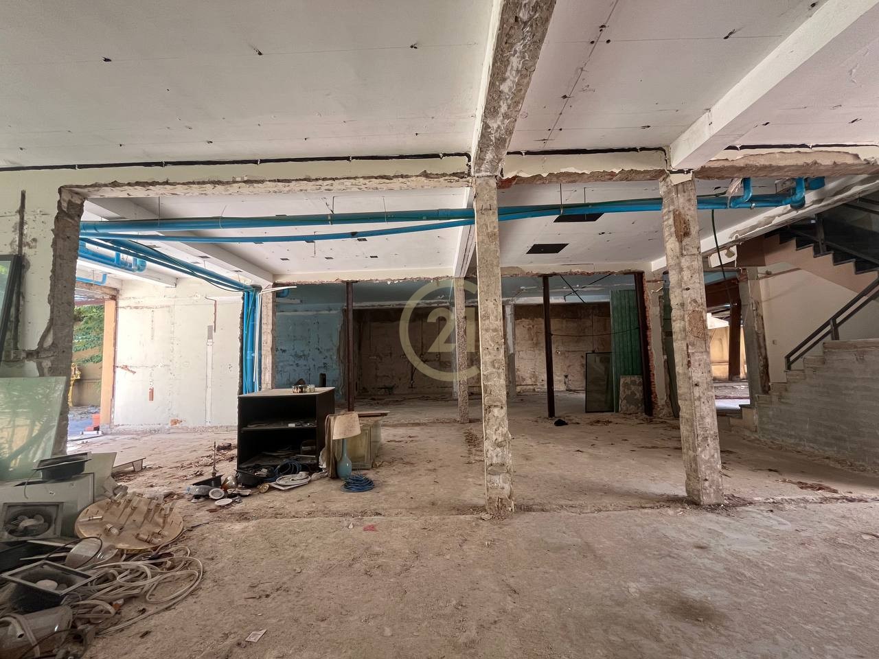 photo_4_2024-11-01_14-52-46