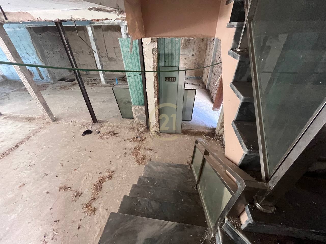 photo_6_2024-11-01_14-52-46