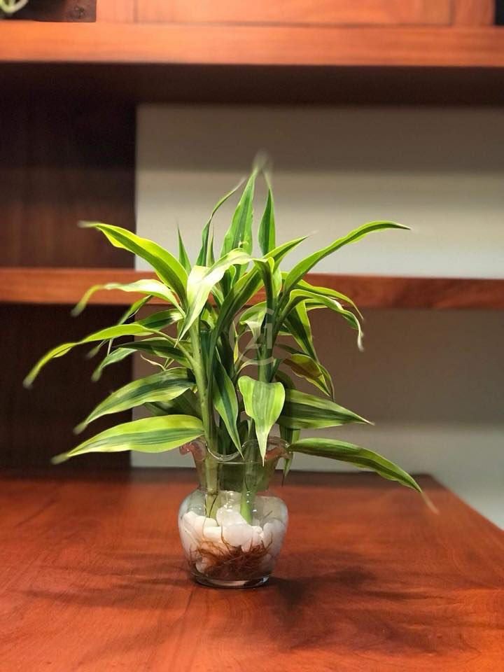 photo_2024-12-21_15-39-13