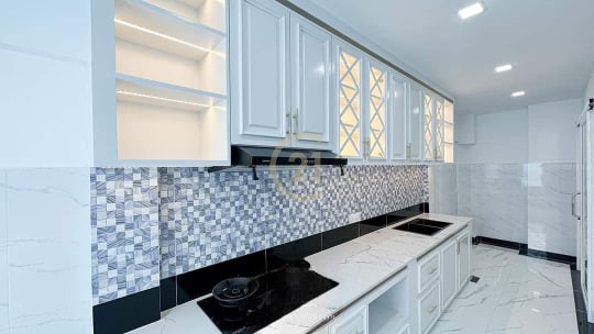 Special Villa Twin For Rent at Borey Blue Daimond