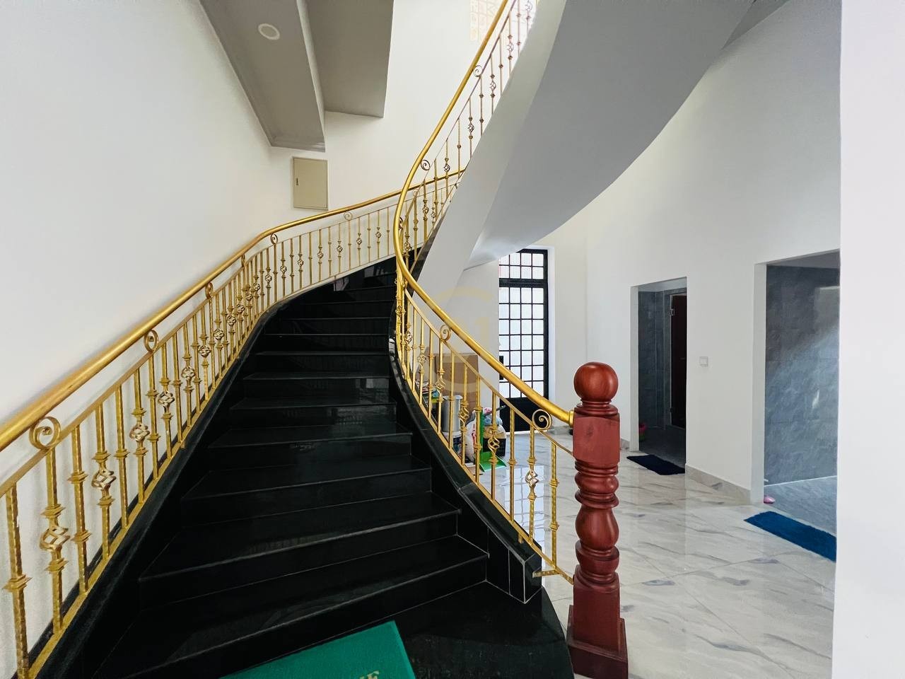 photo_15_2025-02-27_11-35-10