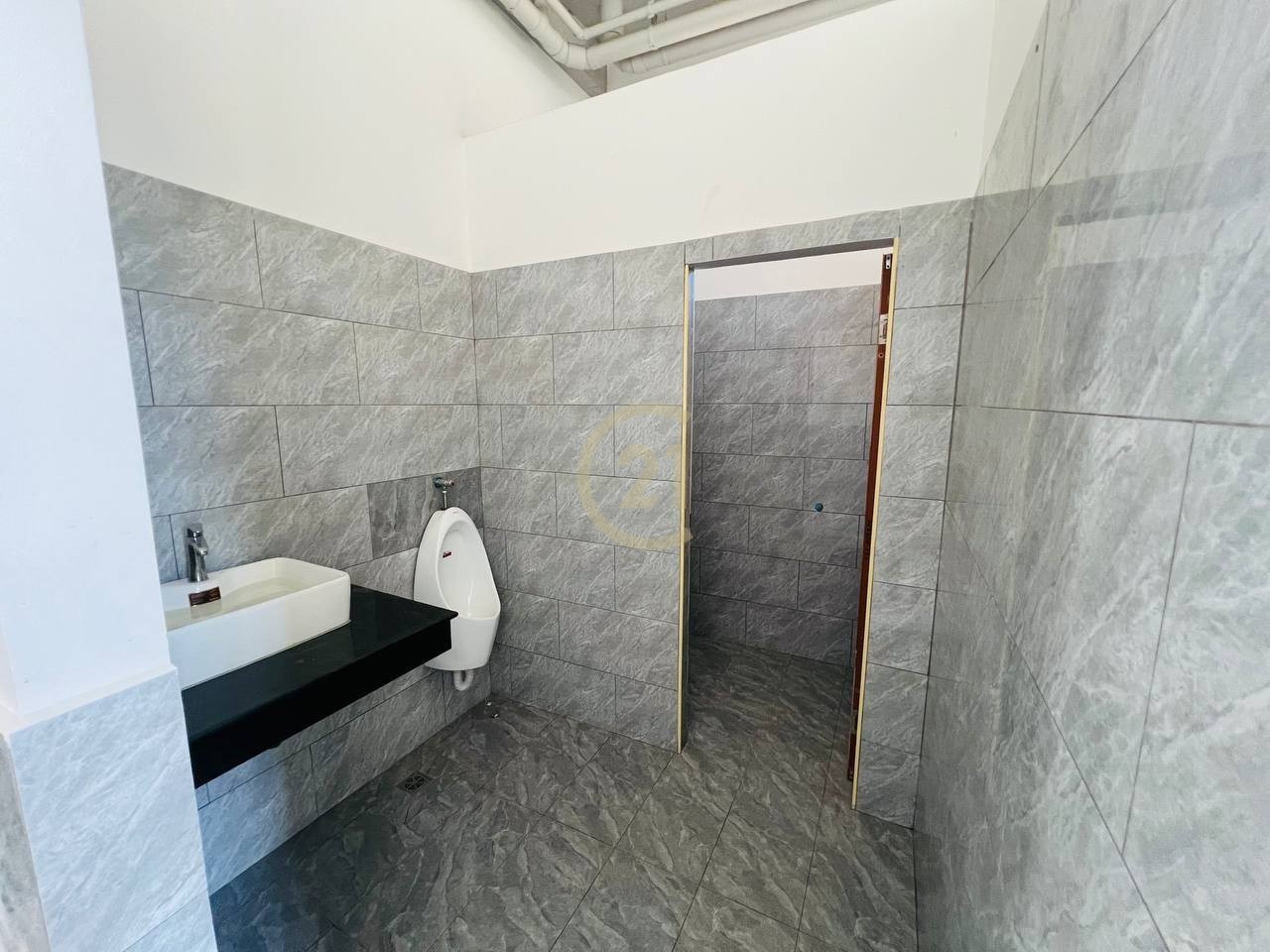 photo_1_2025-02-27_11-35-10