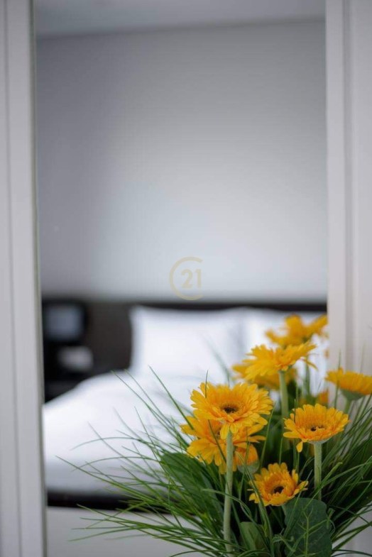 Duplex Penthouse 4 Bedroom For rent at BKK1