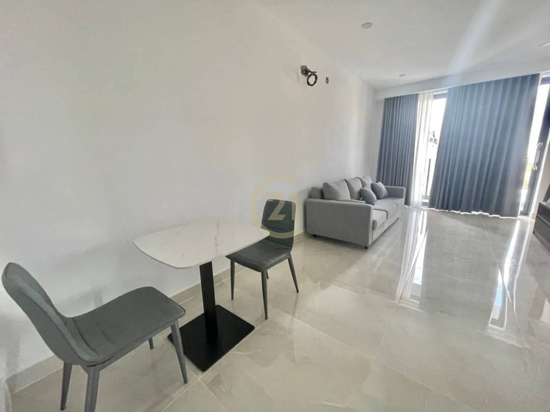 Luxury Two Bedroom For Rent At BKK1