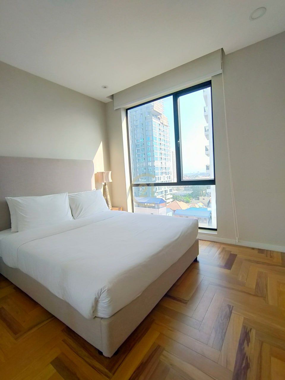 photo_17_2025-04-25_14-29-33