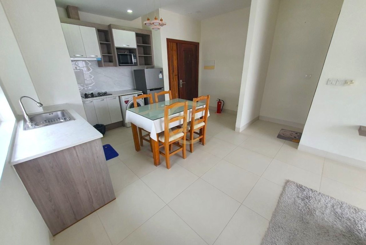 LUXURIOUS ONE BEDROOM FOR RENT