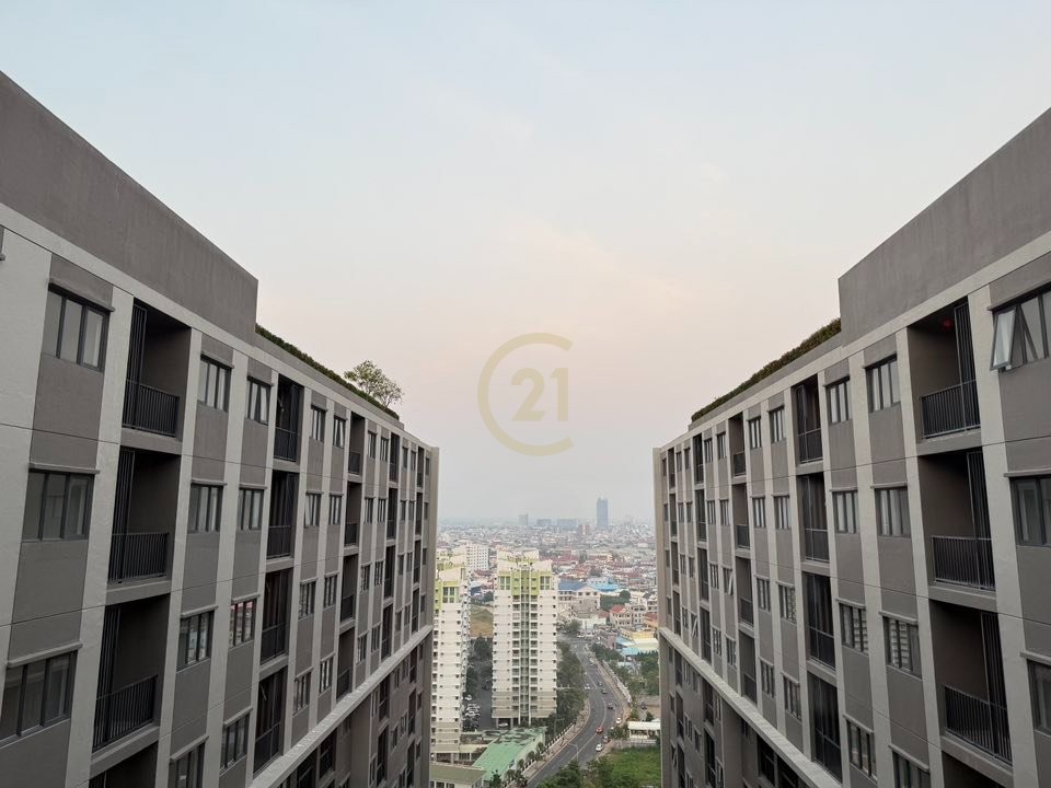 492193153_1197945918477331_5815881513098533065_n