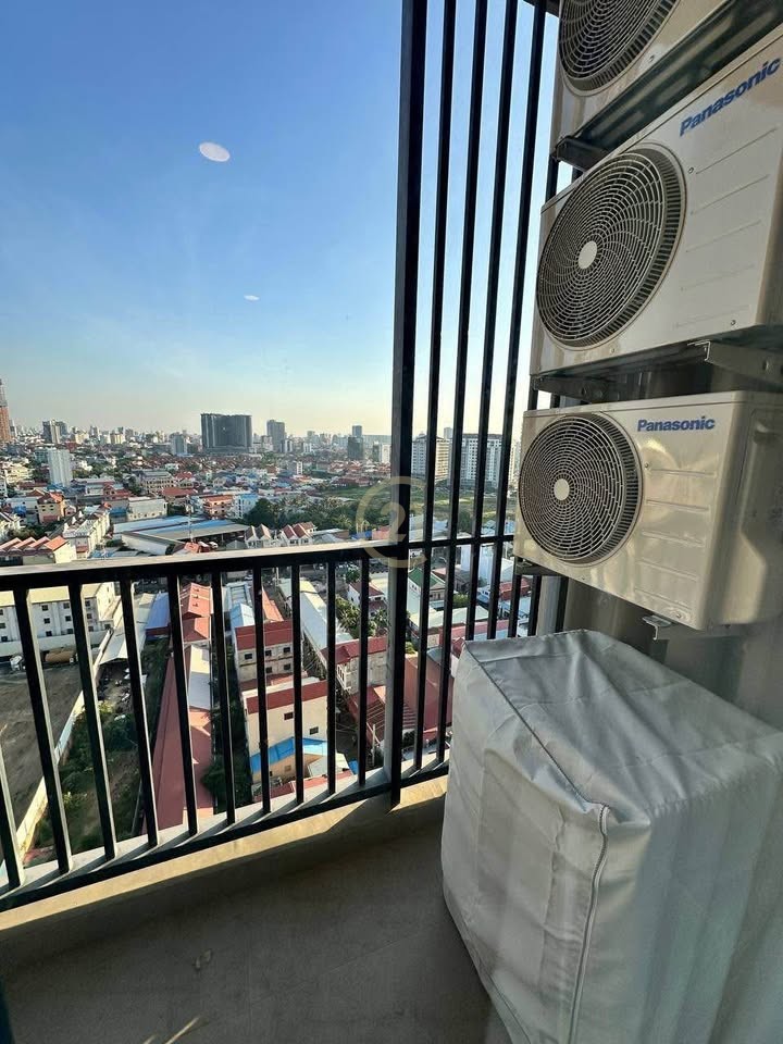 499512766_1151826543415894_7617019606089646548_n