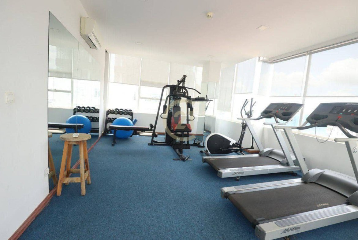 LUXURIOUS PENTHOUSE FOR RENT AT BASSAC LANE