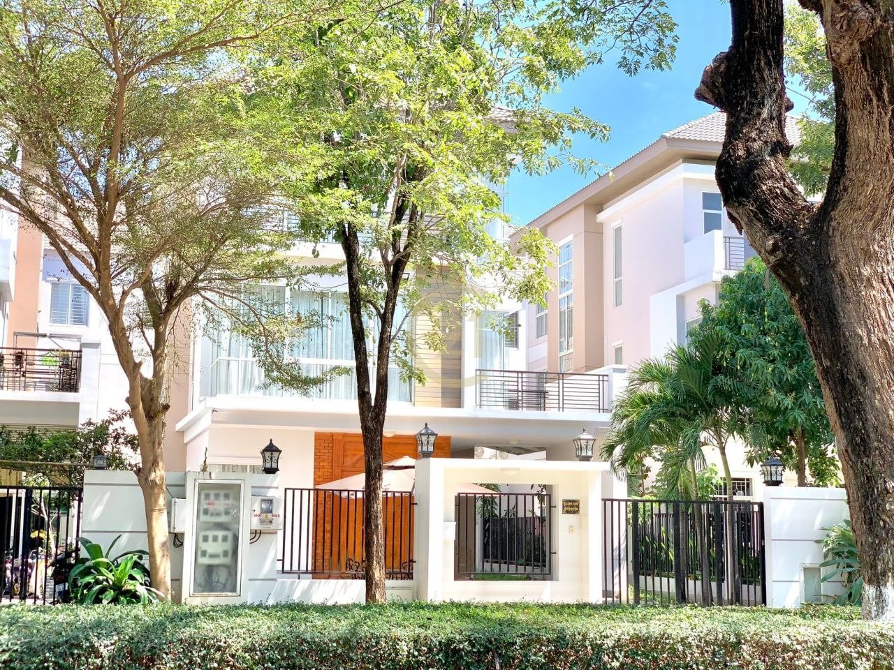 photo_5_2025-06-06_14-11-56