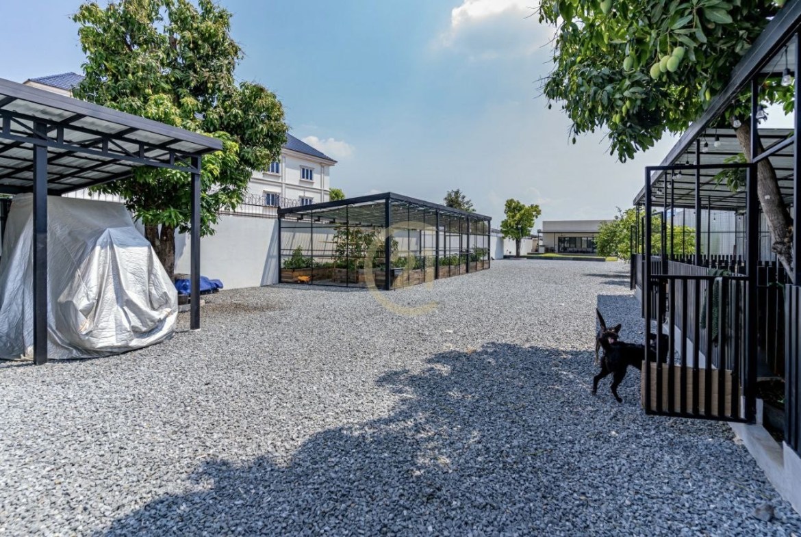 Modern Villa for Sale in Prek Eng | Pet-Friendly | Fully Furnished