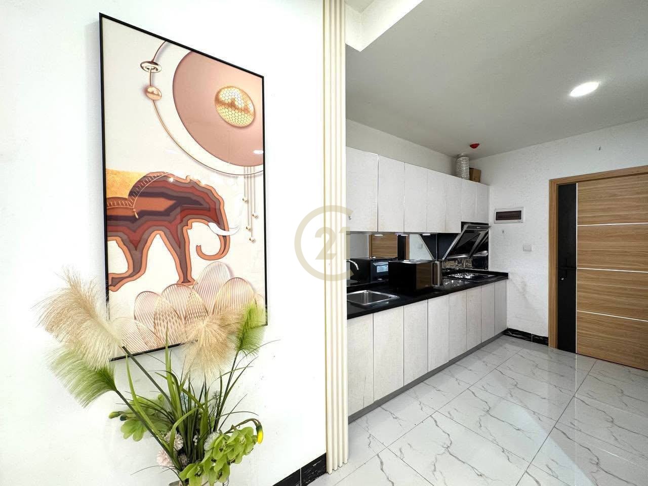 photo_1_2025-07-23_15-05-25