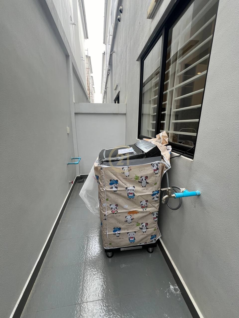 photo_5_2025-07-15_09-03-57