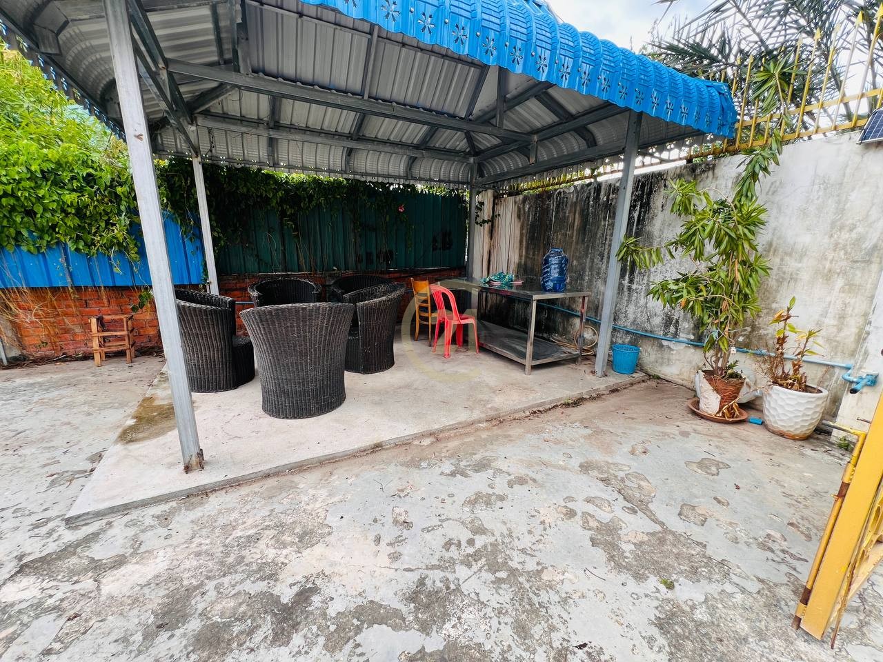 photo_2025-08-19_16-36-38