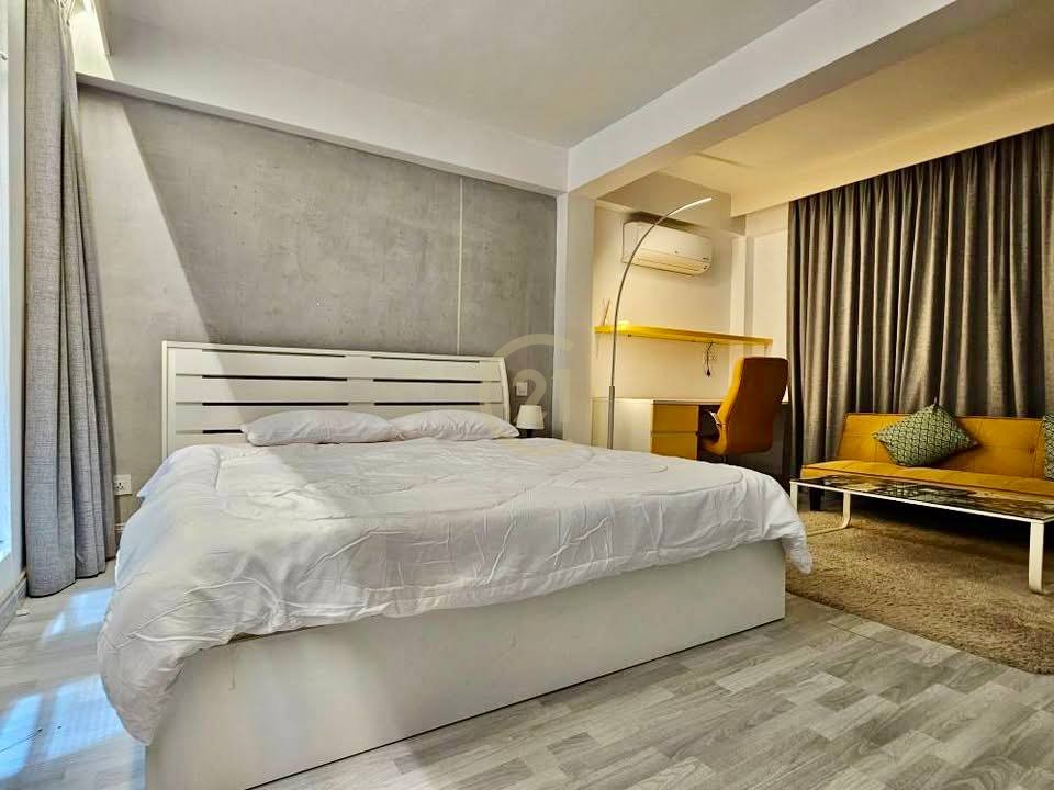 RENOVATED PENTHOUSE FOR RENT-TONLE BASSAC