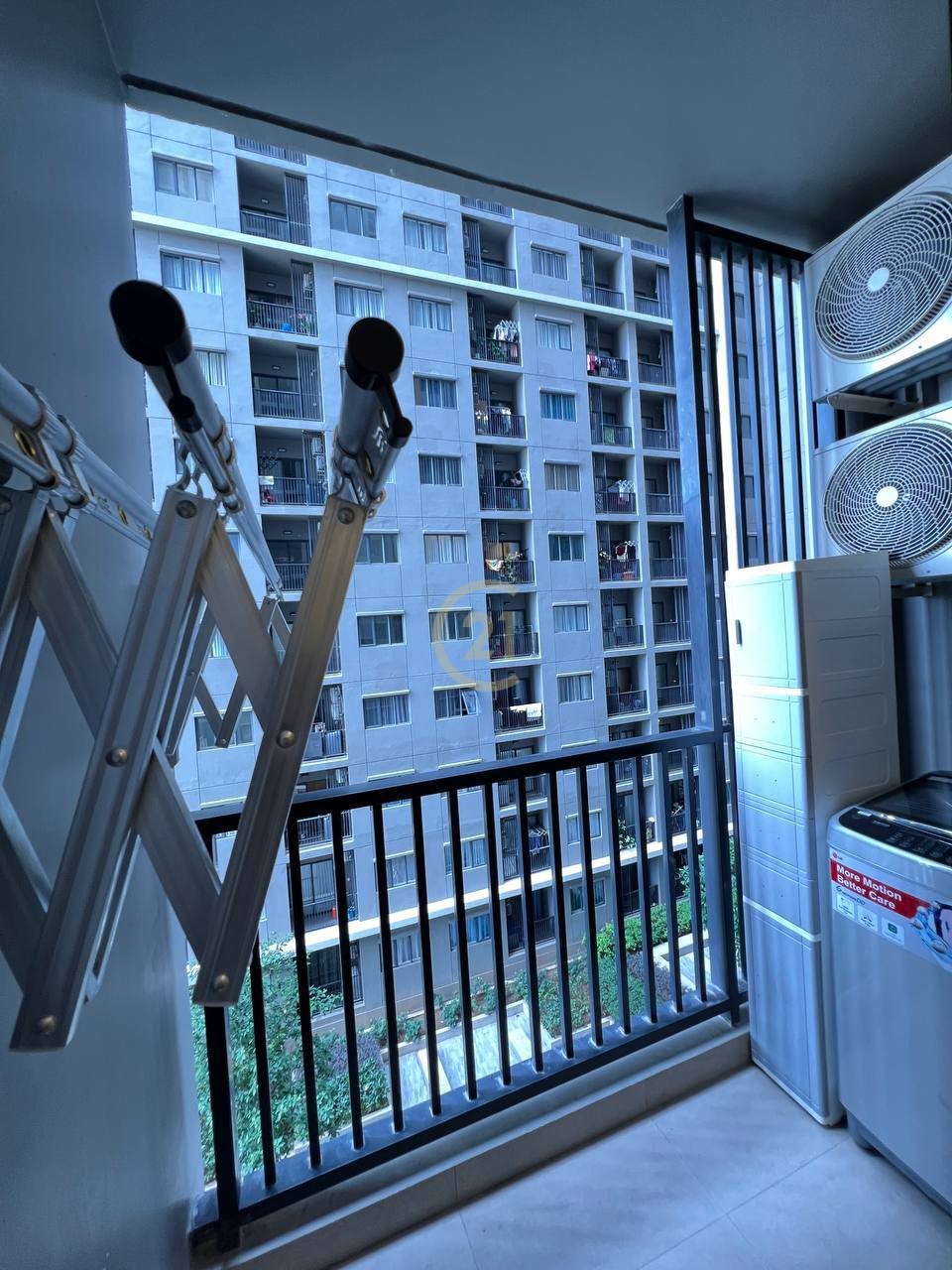 photo_7_2025-08-04_09-27-04