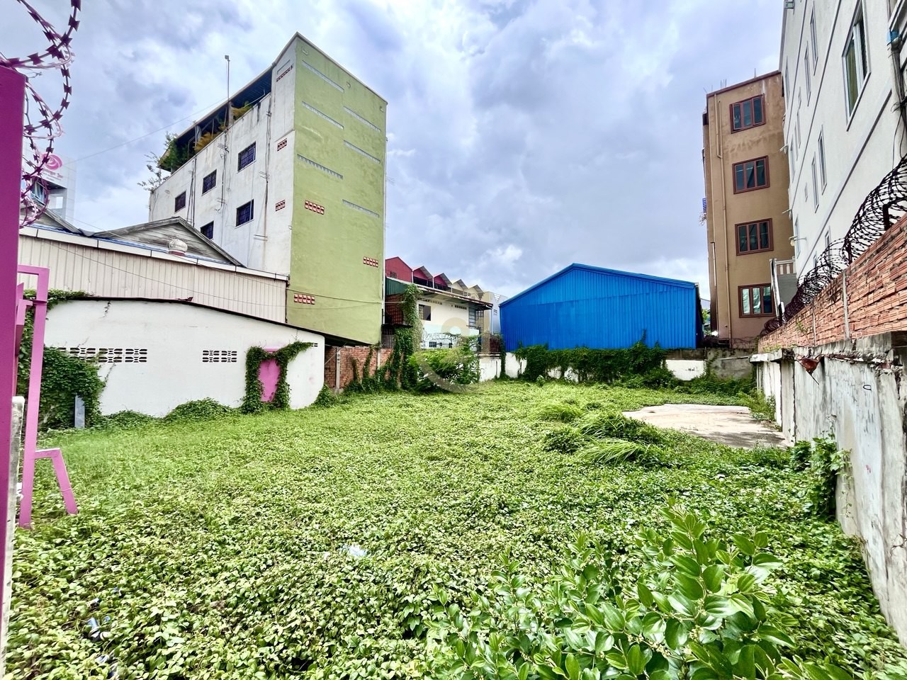 photo_1_2025-09-04_14-03-27