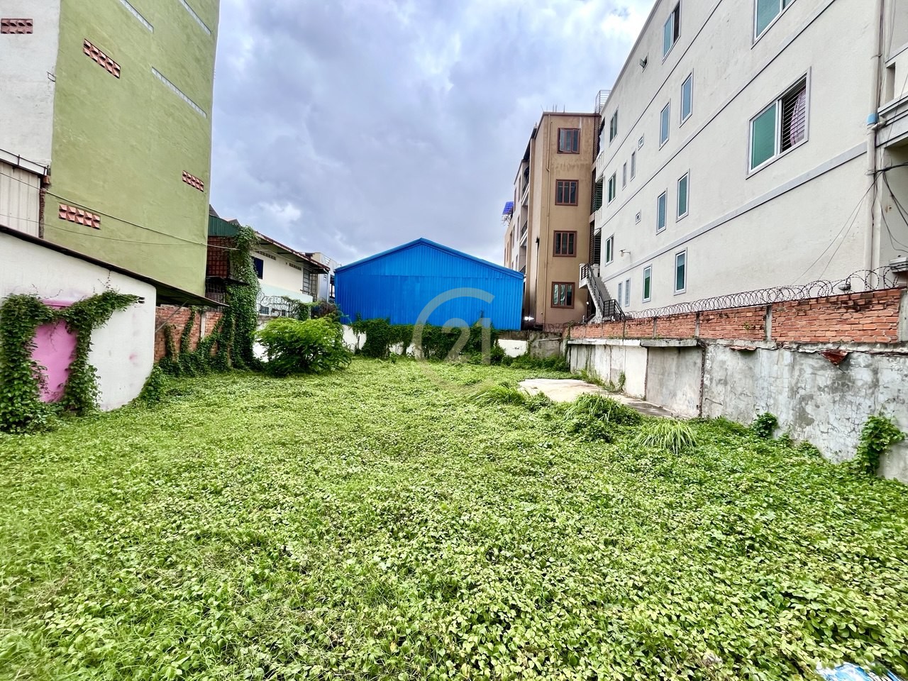 photo_2_2025-09-04_14-01-09