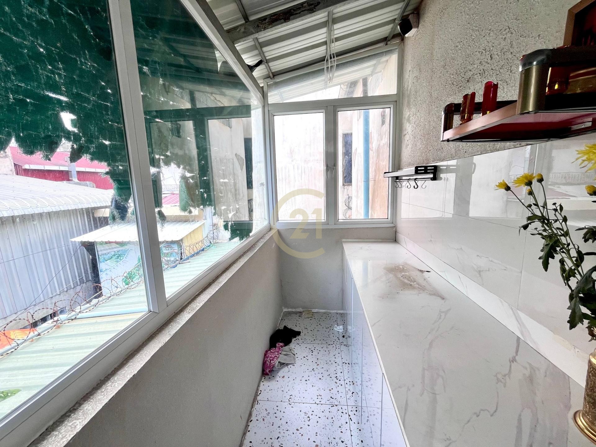 photo_4_2025-09-11_12-10-53