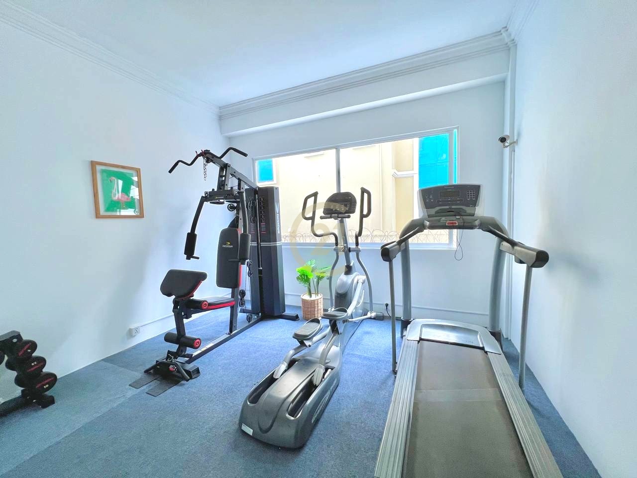 70feccf6-309e-4573-8197-c695bd6290d9