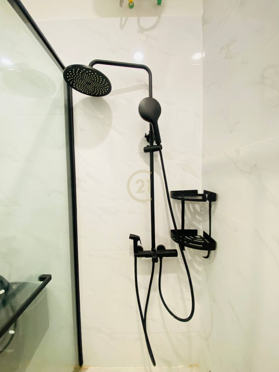 photo_2025-11-12_11-32-35