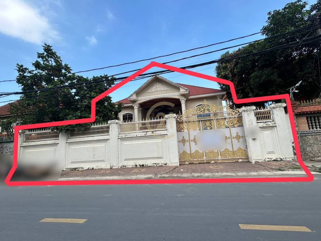 photo_2025-11-22_15-59-27