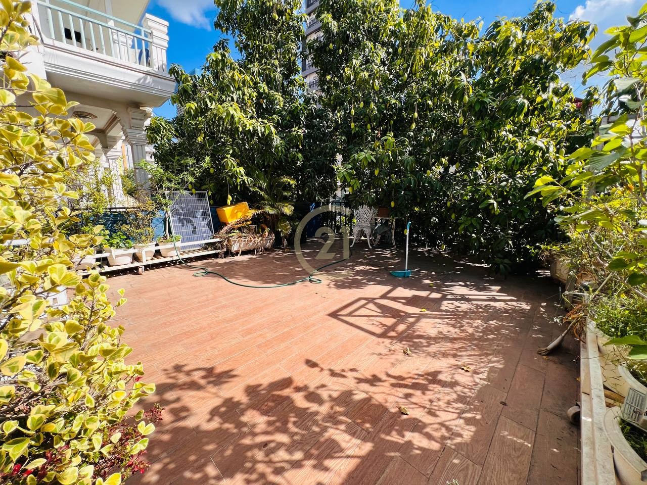 photo_2025-12-24_15-08-22