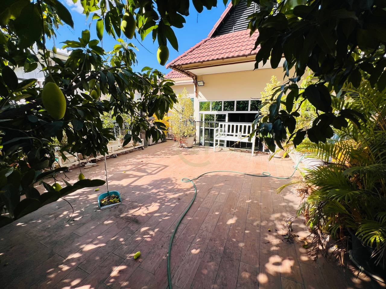 photo_2025-12-24_15-08-25